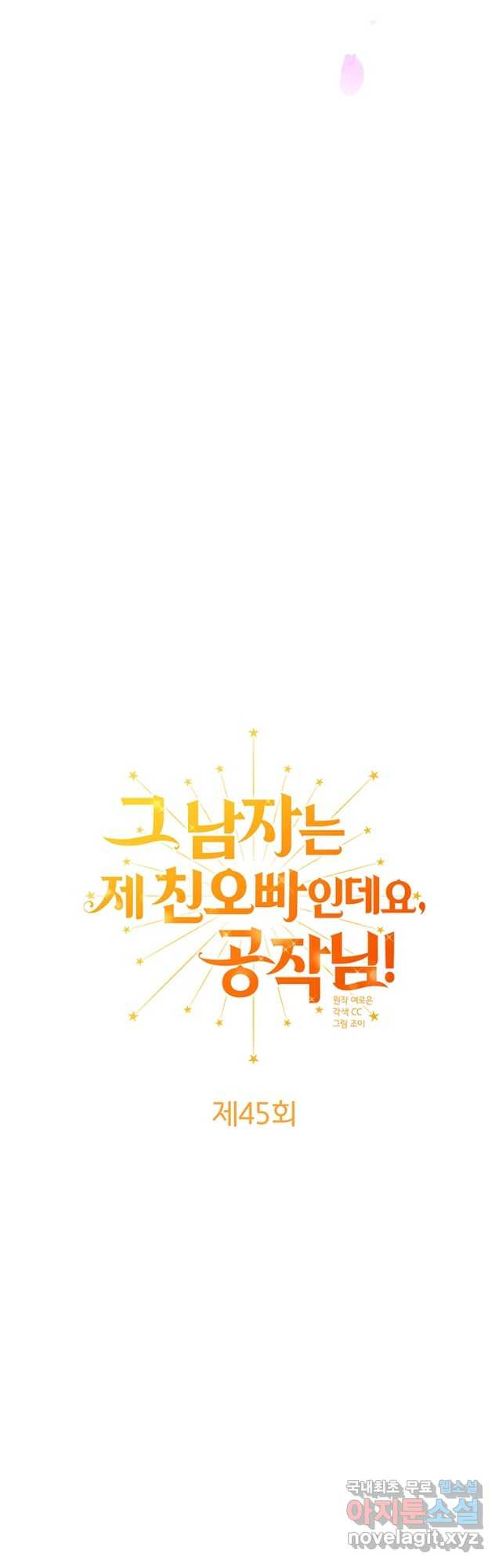 그 남자는 제 친오빠인데요, 공작님 45화 - 웹툰 이미지 3