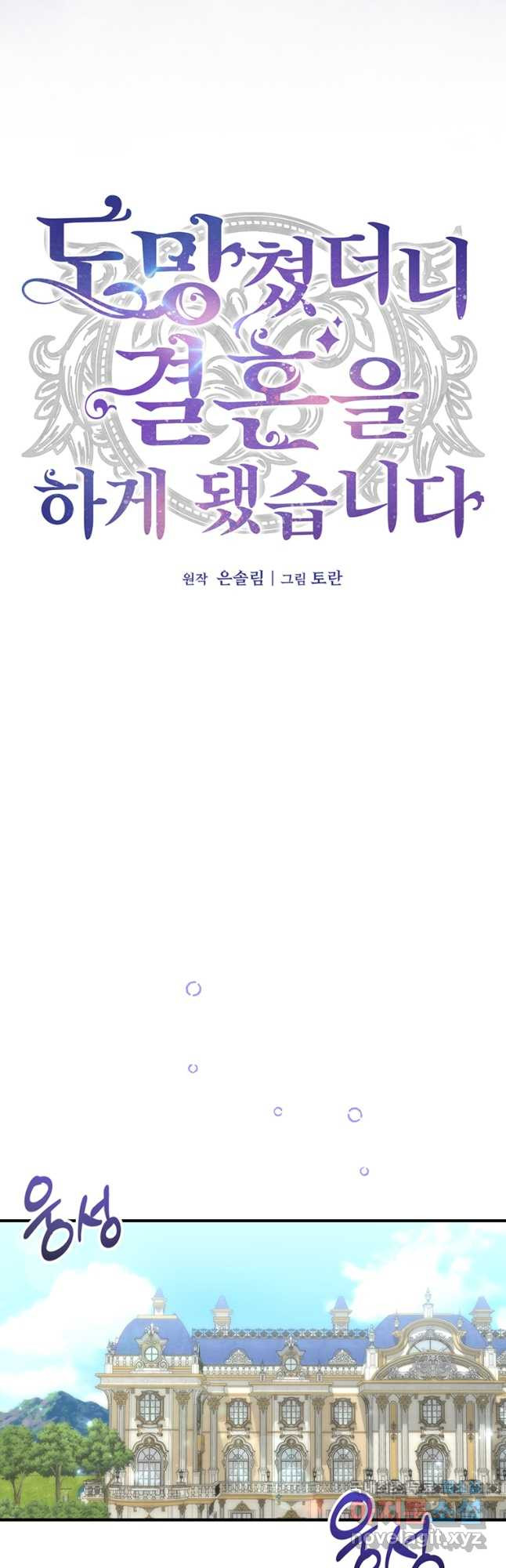 도망쳤더니 결혼을 하게 됐습니다 32화 - 웹툰 이미지 31