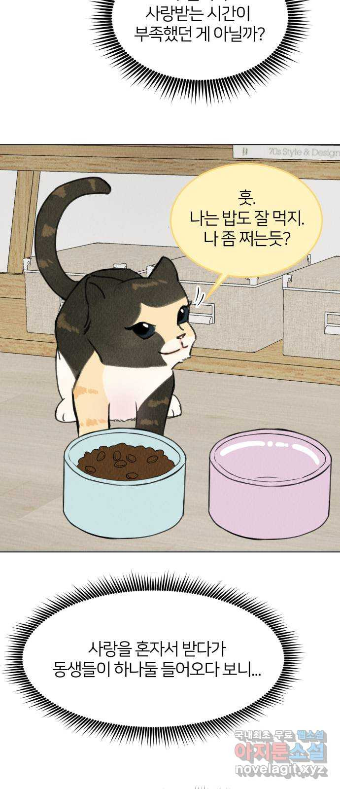 우리 집 고양이 보고 갈래? 14화 - 웹툰 이미지 23