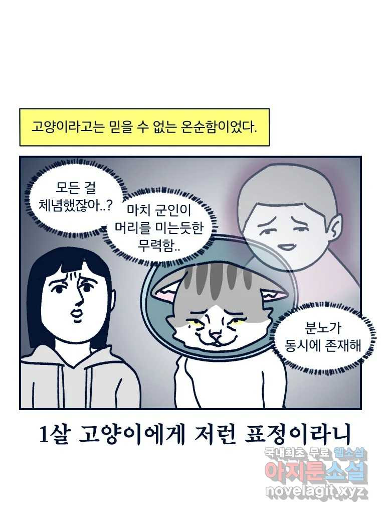 슬프게도 이게 내 인생 시즌3 57화 내 고양이를 봐줘 - 웹툰 이미지 46