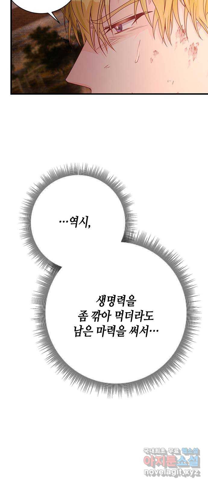 어느 백작 영애의 이중생활 40화 - 웹툰 이미지 9