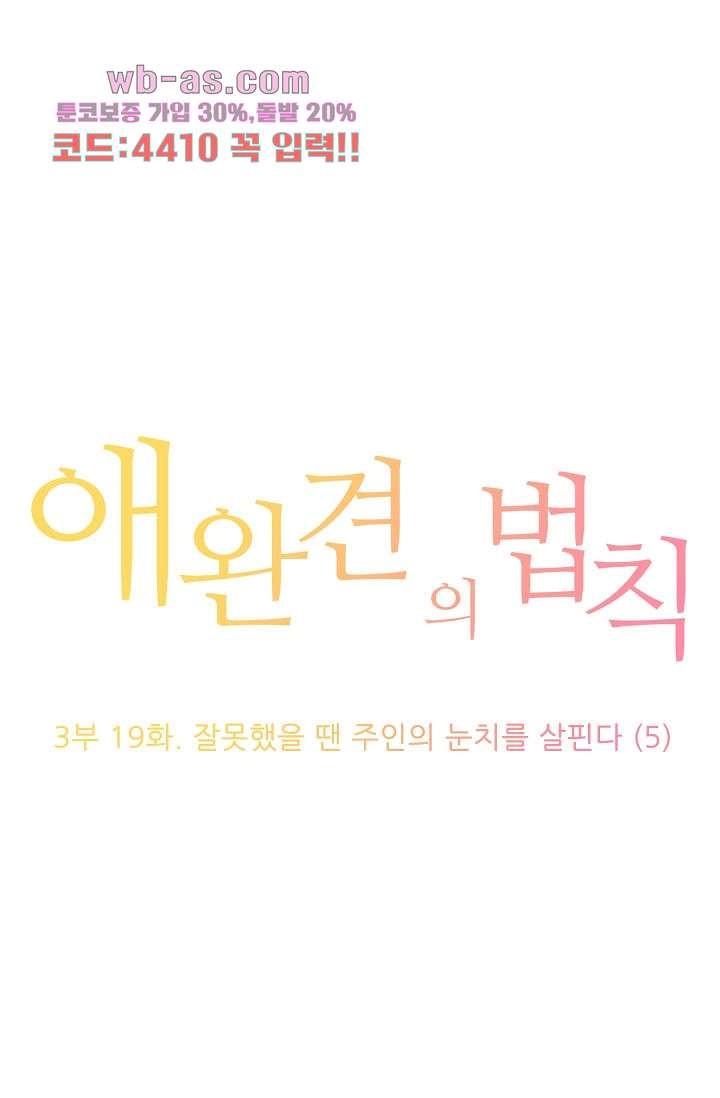 애완견의 법칙 3부 19화 - 웹툰 이미지 1