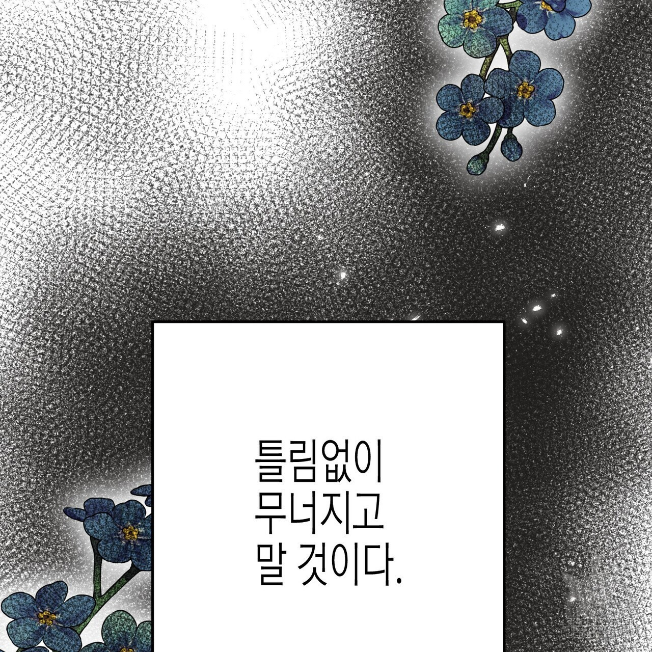 까마귀는 반짝이는 것을 좋아해 97화 - 웹툰 이미지 105