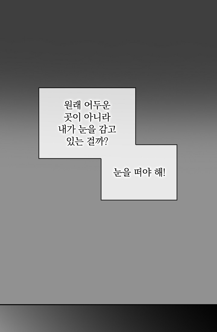 눌리타스 : 절반의 백작 영애 86화 - 웹툰 이미지 67