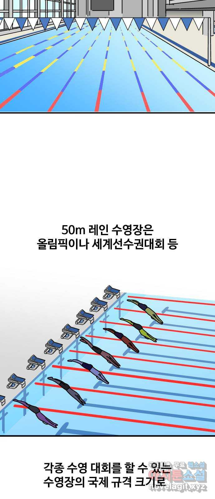 수영만화일기 시즌2 56화 50m레인 수영장 - 웹툰 이미지 2