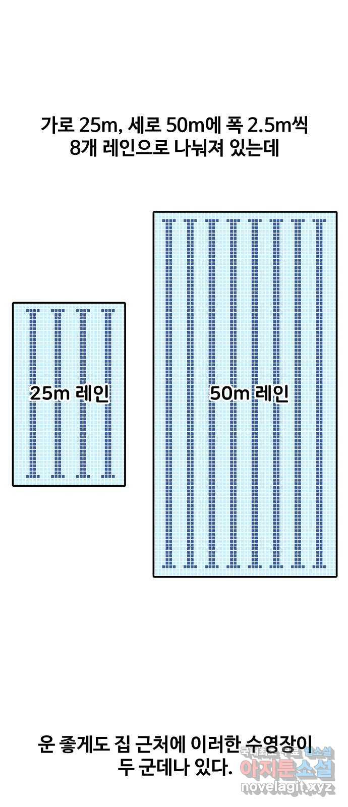 수영만화일기 시즌2 56화 50m레인 수영장 - 웹툰 이미지 3