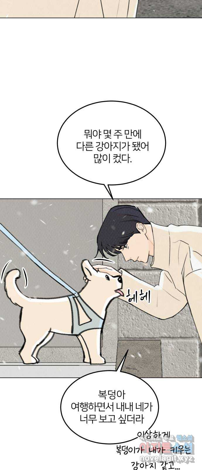 우리 집 고양이 보고 갈래? 20화 - 웹툰 이미지 41