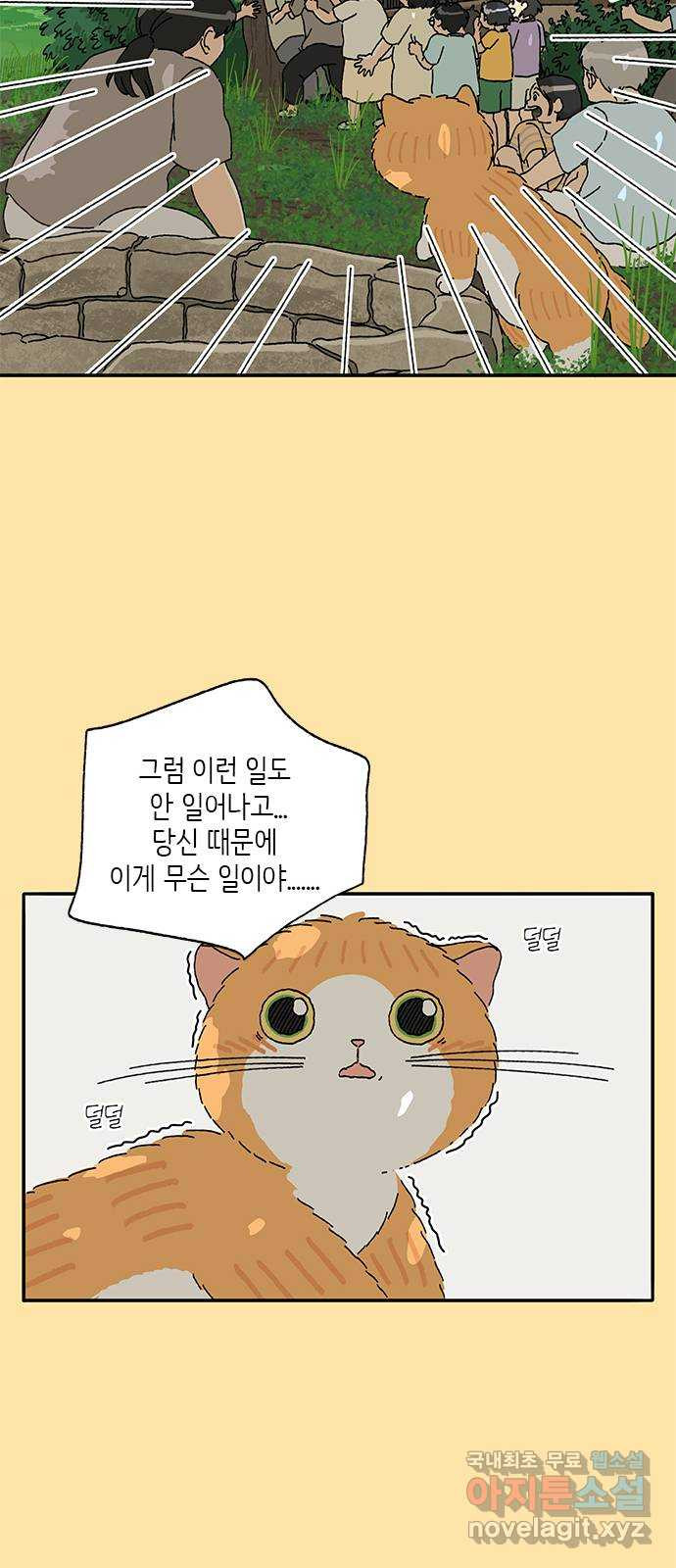 고양이 타타 24화 - 웹툰 이미지 11