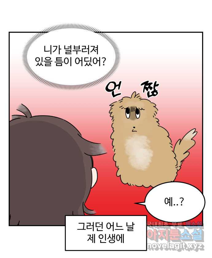 강아지는 멍멍하고 짖지 않아! 1화 - 소개합니다 - 웹툰 이미지 9