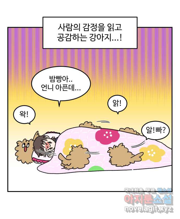 강아지는 멍멍하고 짖지 않아! 1화 - 소개합니다 - 웹툰 이미지 13