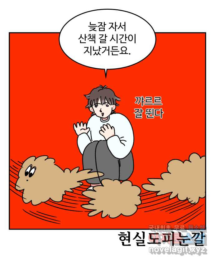 강아지는 멍멍하고 짖지 않아! 2화 - No호락산책 - 웹툰 이미지 4