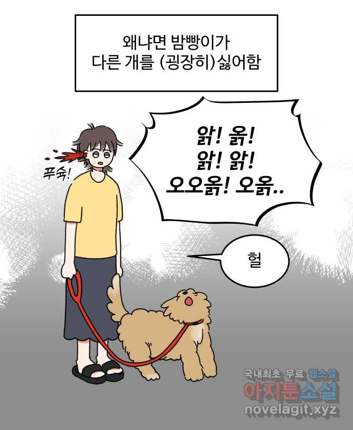 강아지는 멍멍하고 짖지 않아! 2화 - No호락산책 - 웹툰 이미지 12