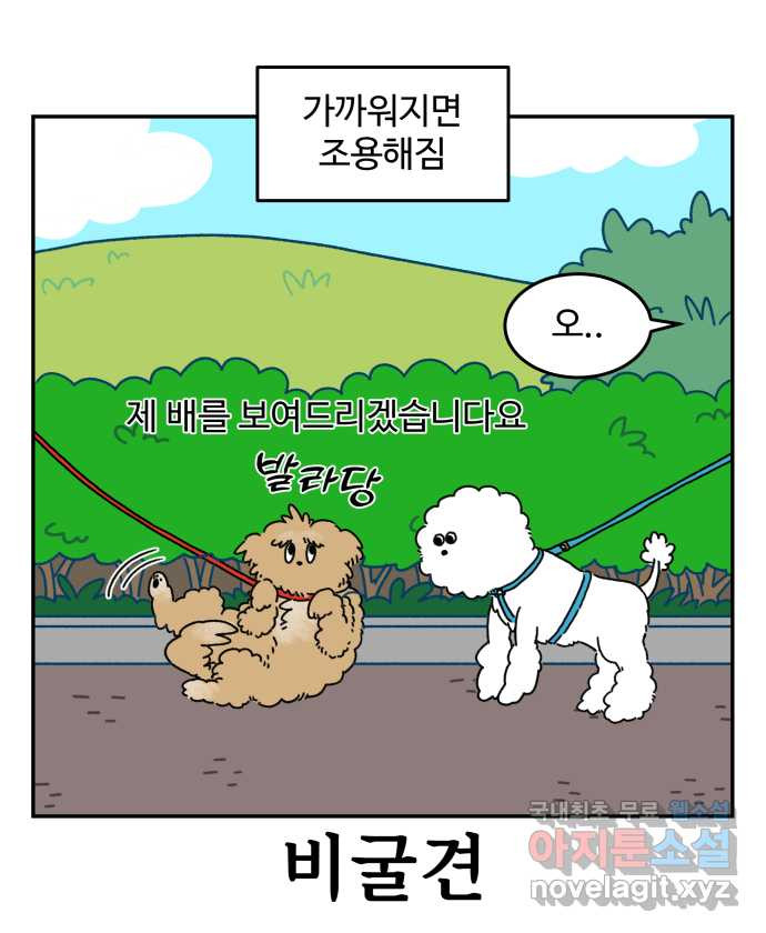 강아지는 멍멍하고 짖지 않아! 2화 - No호락산책 - 웹툰 이미지 15