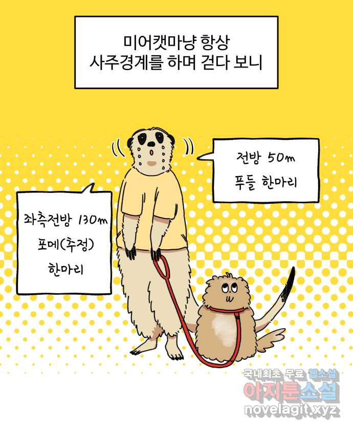 강아지는 멍멍하고 짖지 않아! 2화 - No호락산책 - 웹툰 이미지 19