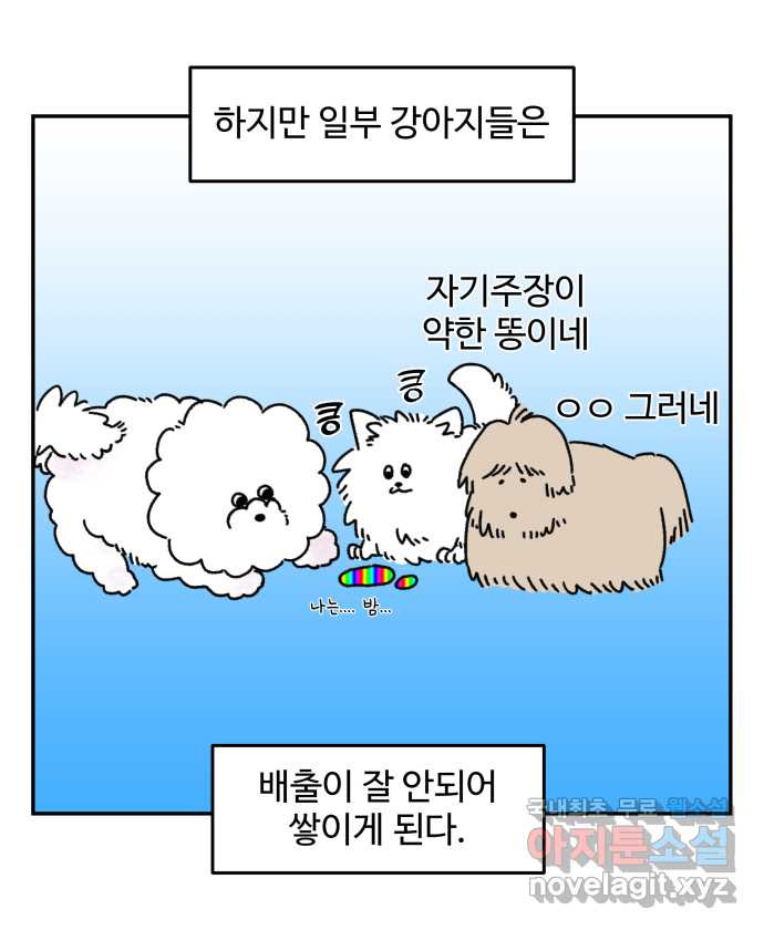 강아지는 멍멍하고 짖지 않아! 3화 - 항문낭 - 웹툰 이미지 5