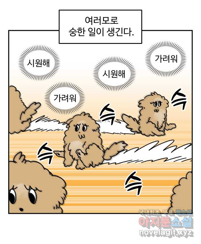 강아지는 멍멍하고 짖지 않아! 3화 - 항문낭 - 웹툰 이미지 7