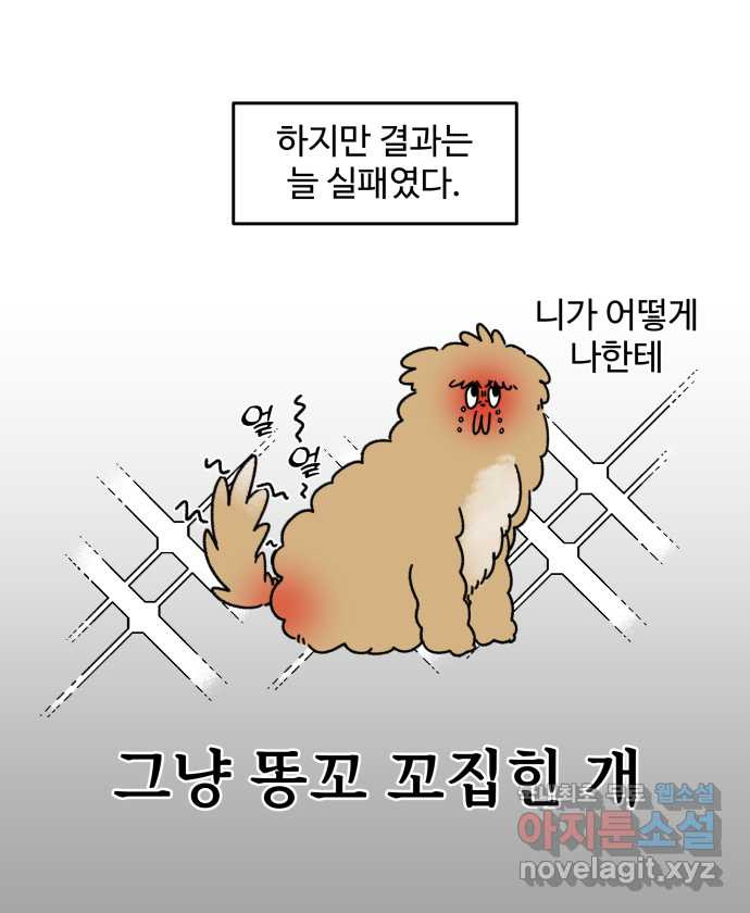 강아지는 멍멍하고 짖지 않아! 3화 - 항문낭 - 웹툰 이미지 17