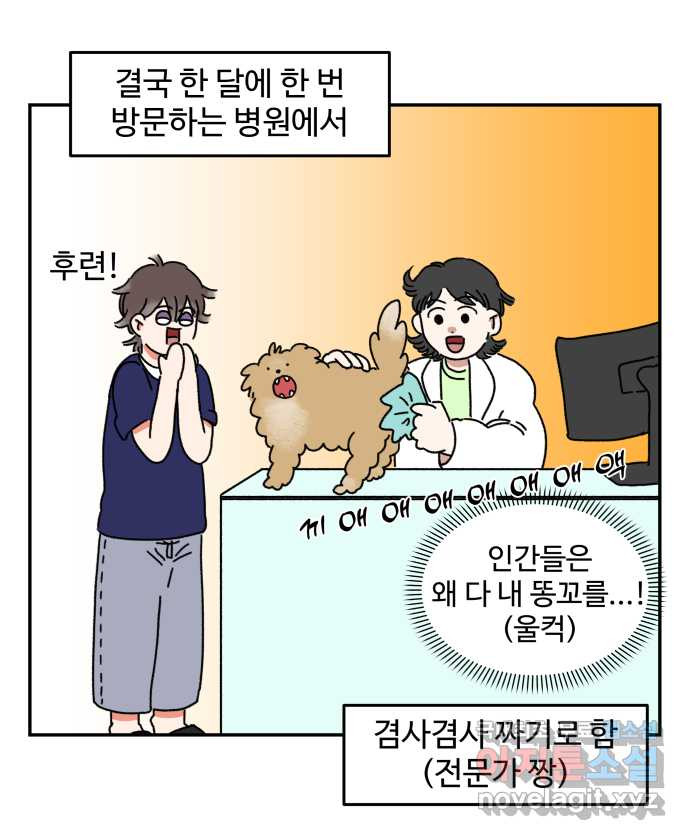 강아지는 멍멍하고 짖지 않아! 3화 - 항문낭 - 웹툰 이미지 18