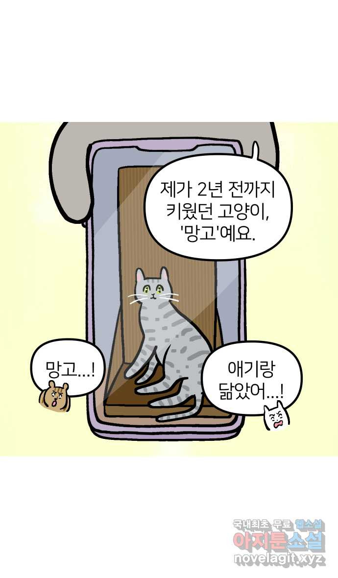 애옹식당 81화 애기, 입양가다?!(1) - 웹툰 이미지 12