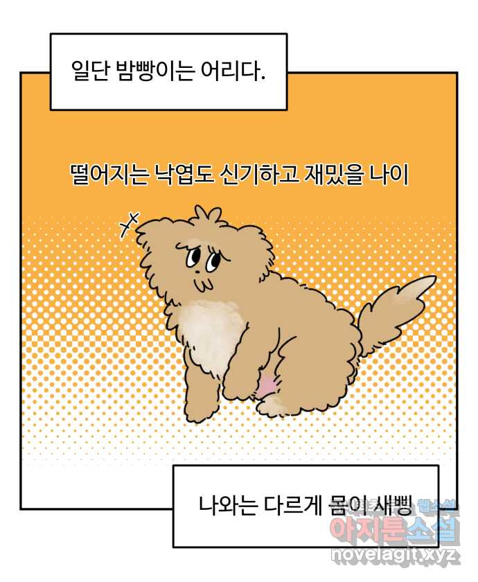 강아지는 멍멍하고 짖지 않아! 5화 - 놀아줘, 근데 24시간 - 웹툰 이미지 8