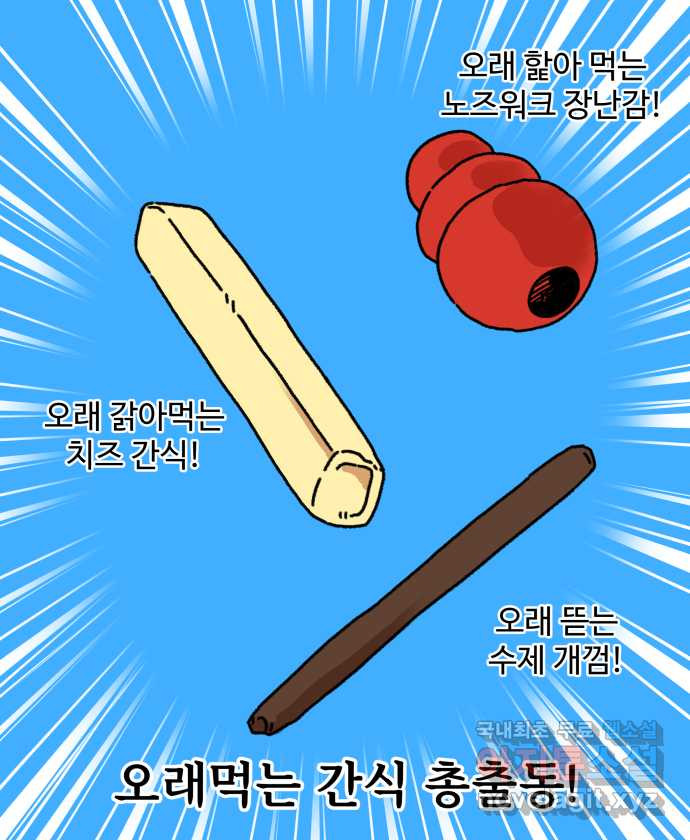 강아지는 멍멍하고 짖지 않아! 6화 - 분리불안(1) - 웹툰 이미지 18