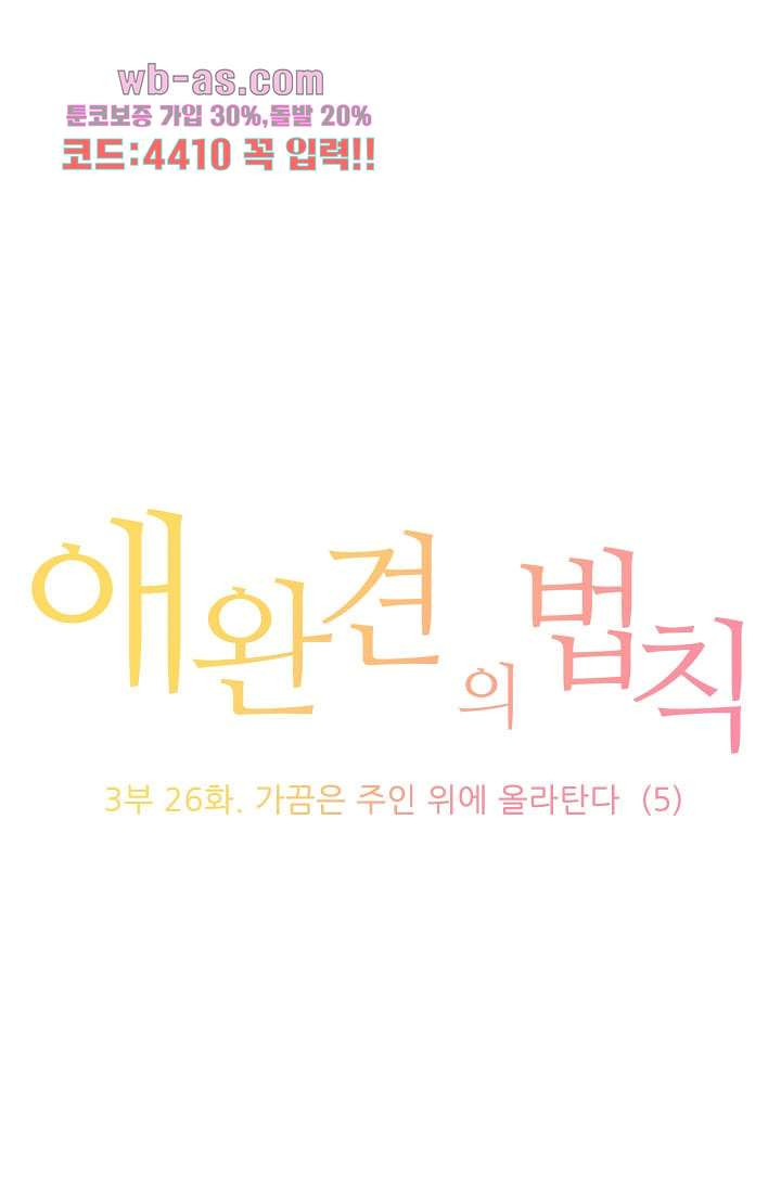 애완견의 법칙 3부 26화 - 웹툰 이미지 1