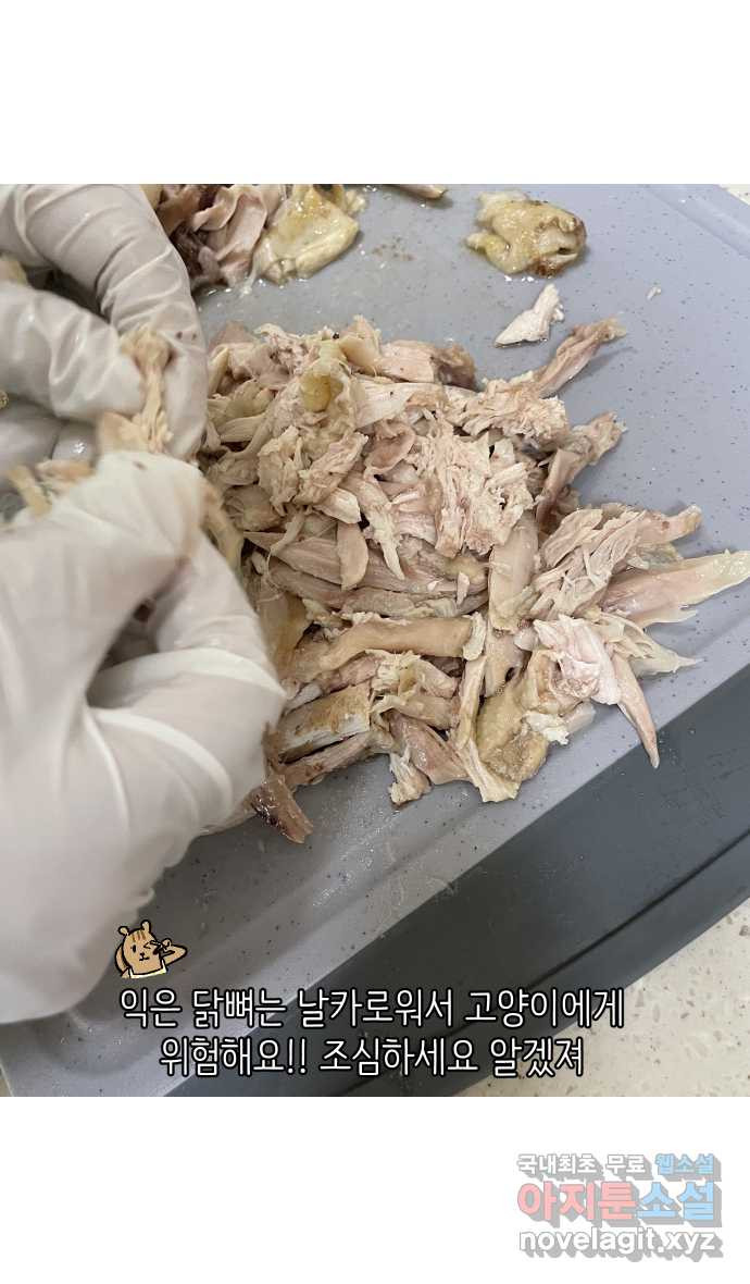 애옹식당 82화 애기, 입양가다?!(2) - 웹툰 이미지 20