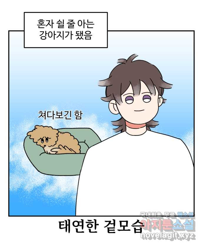 강아지는 멍멍하고 짖지 않아! 7화 - 분리불안(2) - 웹툰 이미지 14