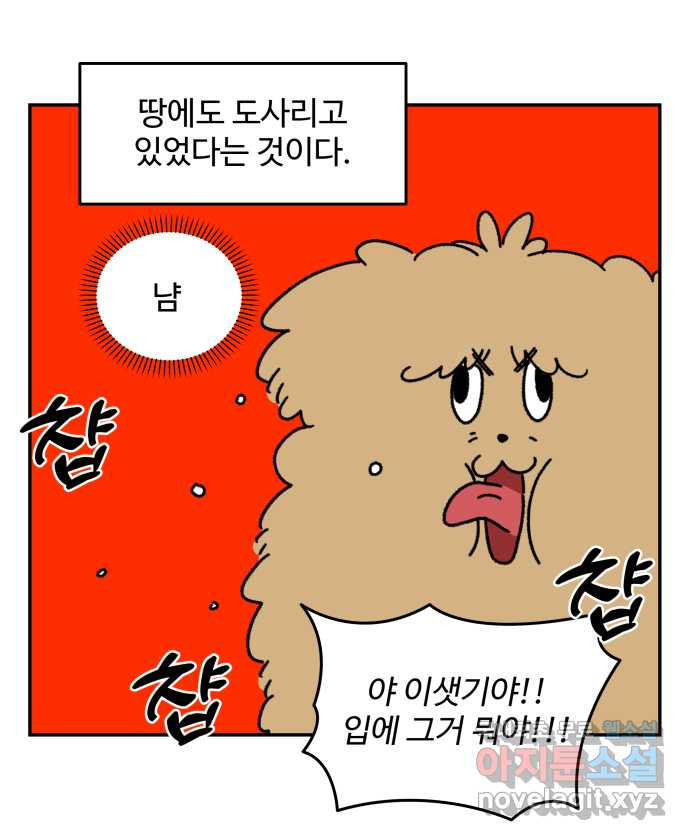 강아지는 멍멍하고 짖지 않아! 8화 - 방심할 수 없는 산책 - 웹툰 이미지 6