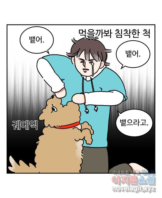 강아지는 멍멍하고 짖지 않아! 8화 - 방심할 수 없는 산책 - 웹툰 이미지 17