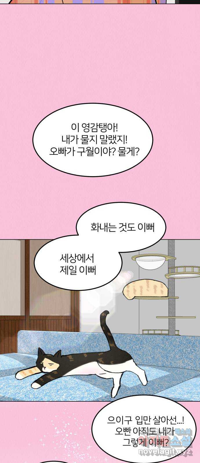 우리 집 고양이 보고 갈래? 26화 - 웹툰 이미지 48