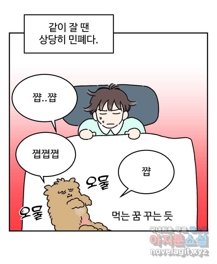 강아지는 멍멍하고 짖지 않아! 9화 - 꿈꾸는 강아지 - 웹툰 이미지 15