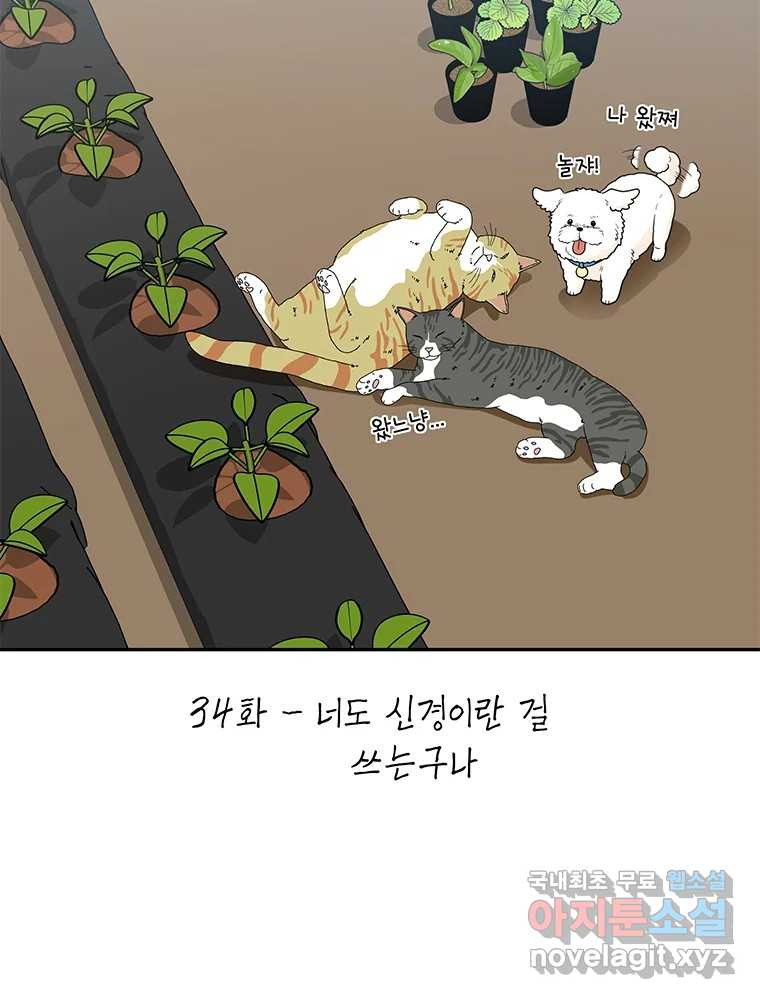 청춘귀촌보고서 34화 너도 신경이란 걸 쓰는구나 - 웹툰 이미지 18