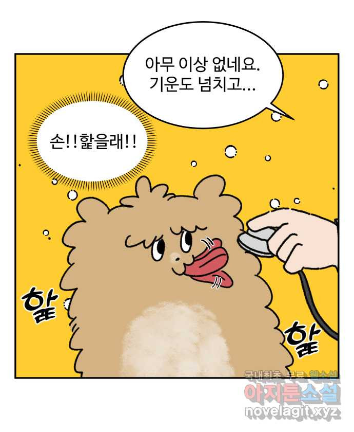 강아지는 멍멍하고 짖지 않아! 11화 - 관심을 주세요 - 웹툰 이미지 14