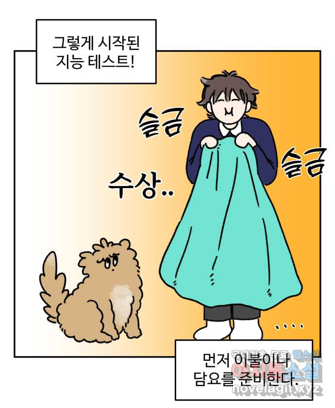 강아지는 멍멍하고 짖지 않아! 12화 - 천재견? - 웹툰 이미지 7