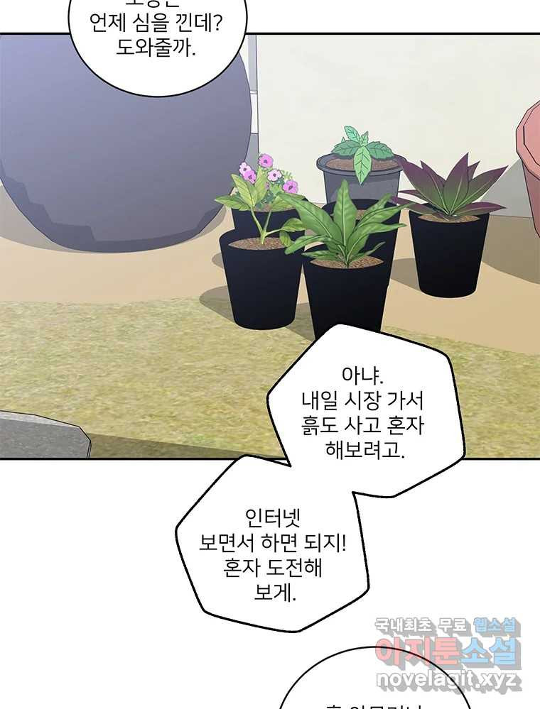 청춘귀촌보고서 35화 설탕을 끼얹나 - 웹툰 이미지 5