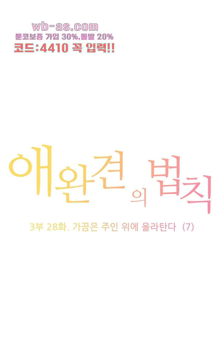 애완견의 법칙 3부 28화 - 웹툰 이미지 1