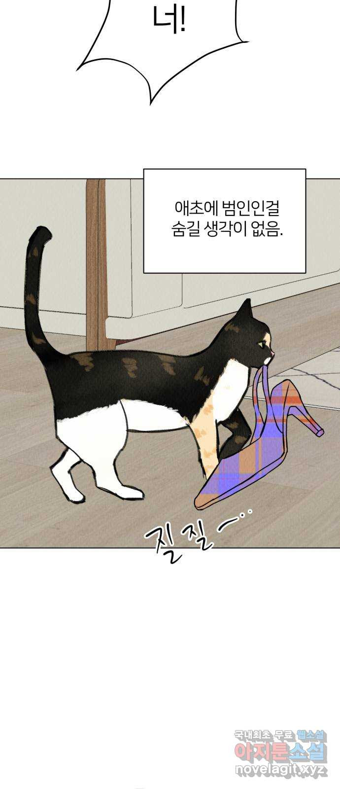 우리 집 고양이 보고 갈래? 28화 - 웹툰 이미지 37