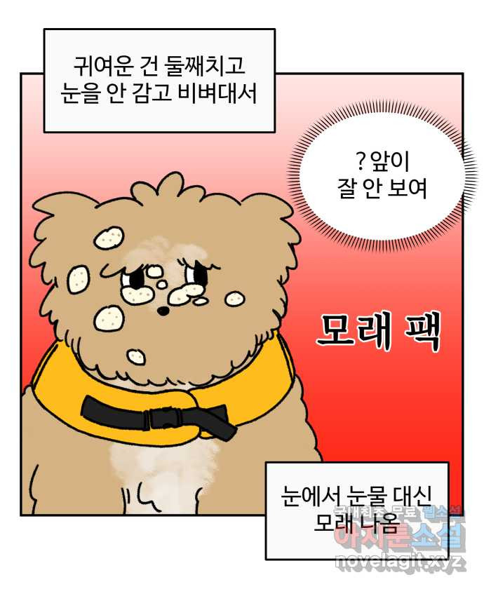 강아지는 멍멍하고 짖지 않아! 14화 - 바다와 강아지 - 웹툰 이미지 13