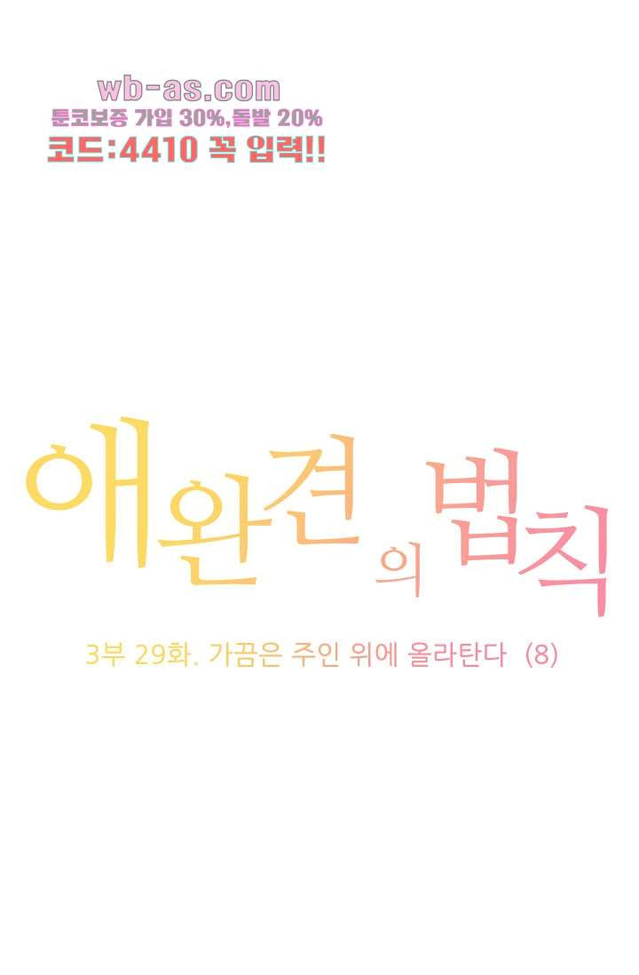 애완견의 법칙 3부 29화 - 웹툰 이미지 1