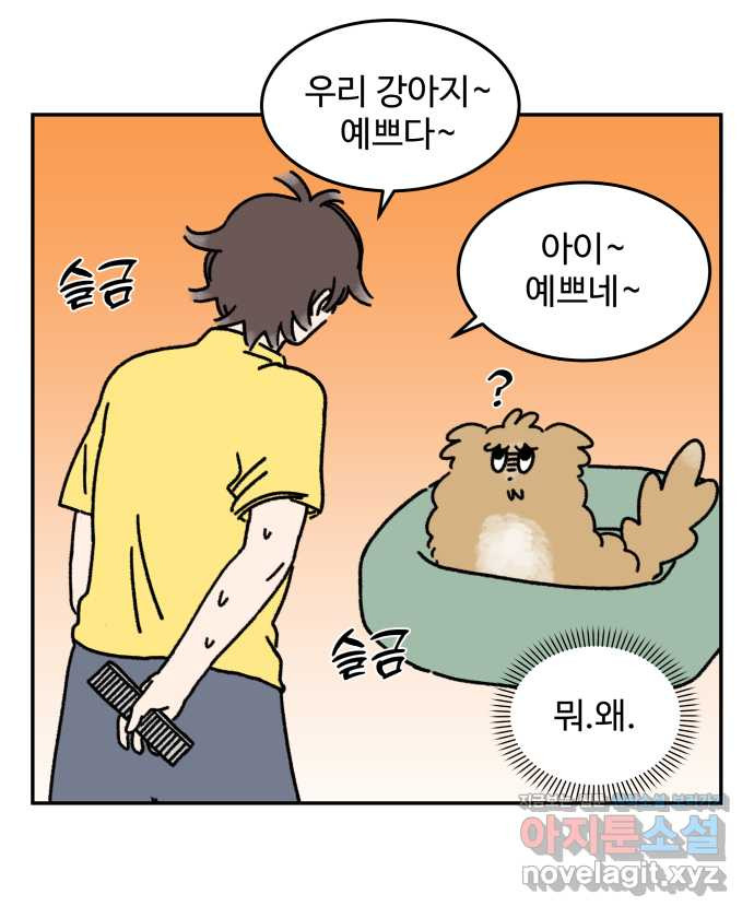 강아지는 멍멍하고 짖지 않아! 15화 - 빗질을 해야 하는 이유 - 웹툰 이미지 3