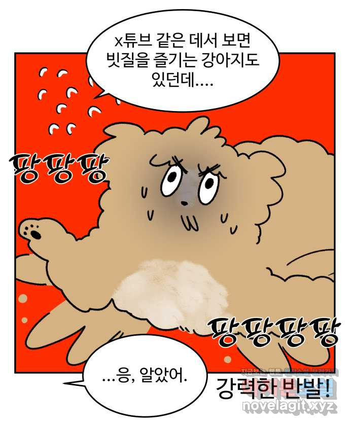 강아지는 멍멍하고 짖지 않아! 15화 - 빗질을 해야 하는 이유 - 웹툰 이미지 8