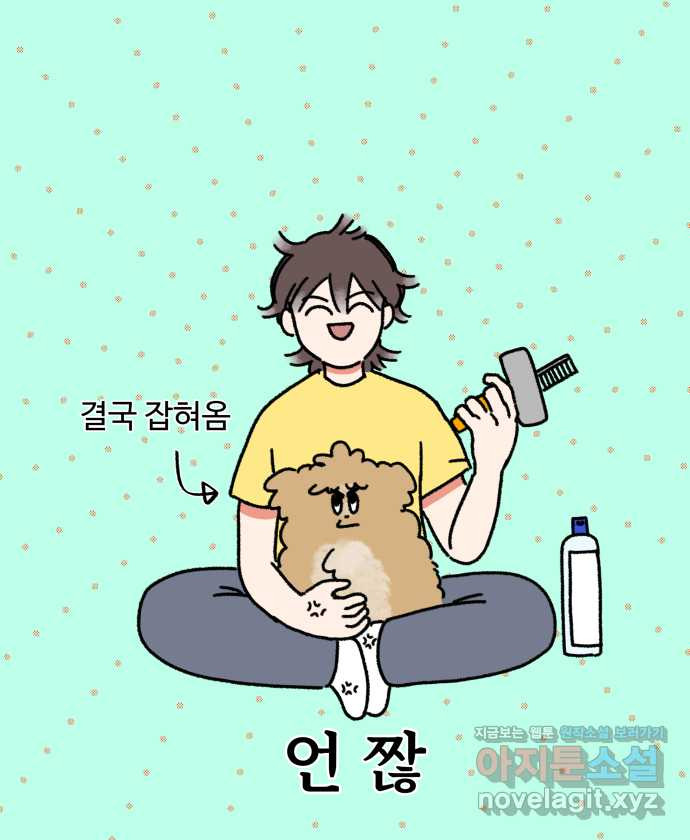 강아지는 멍멍하고 짖지 않아! 15화 - 빗질을 해야 하는 이유 - 웹툰 이미지 9