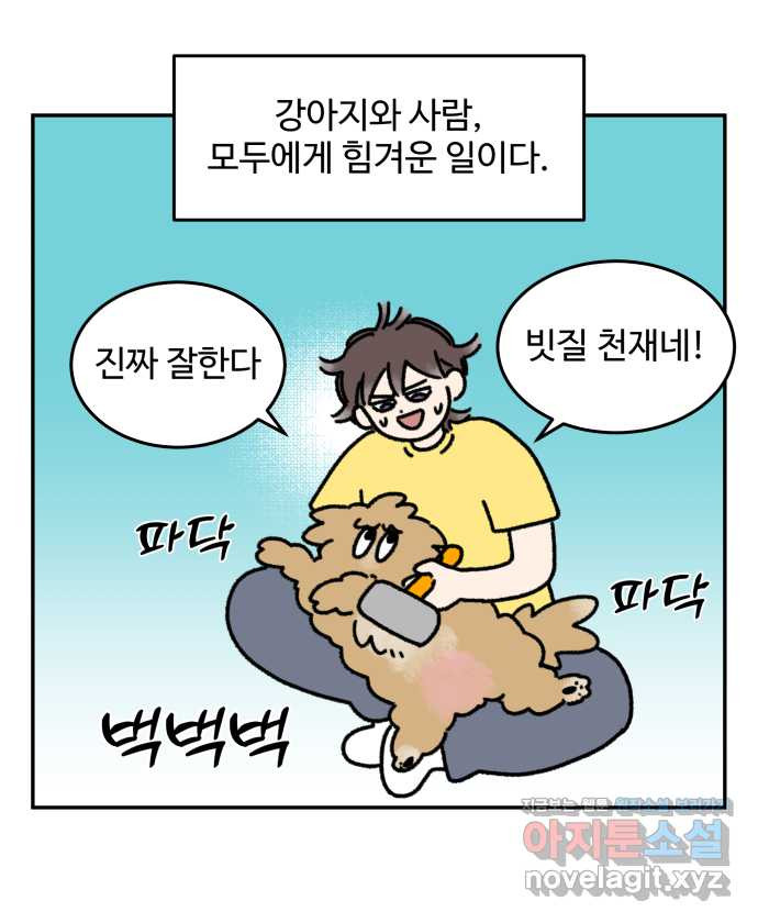 강아지는 멍멍하고 짖지 않아! 15화 - 빗질을 해야 하는 이유 - 웹툰 이미지 11