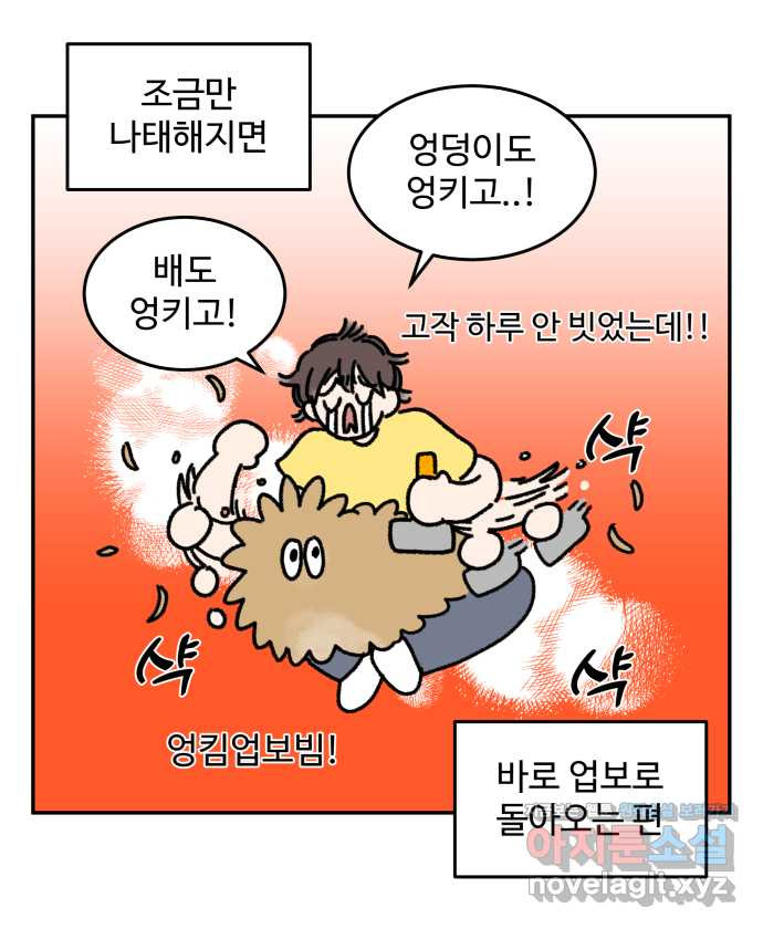 강아지는 멍멍하고 짖지 않아! 15화 - 빗질을 해야 하는 이유 - 웹툰 이미지 13