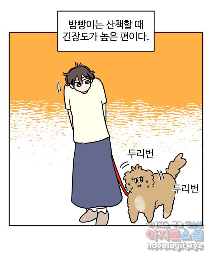 강아지는 멍멍하고 짖지 않아! 17화 - 고양이 사천왕 - 웹툰 이미지 1