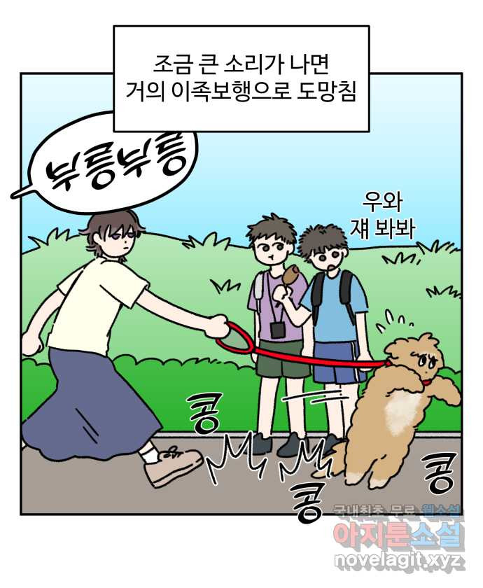 강아지는 멍멍하고 짖지 않아! 17화 - 고양이 사천왕 - 웹툰 이미지 2