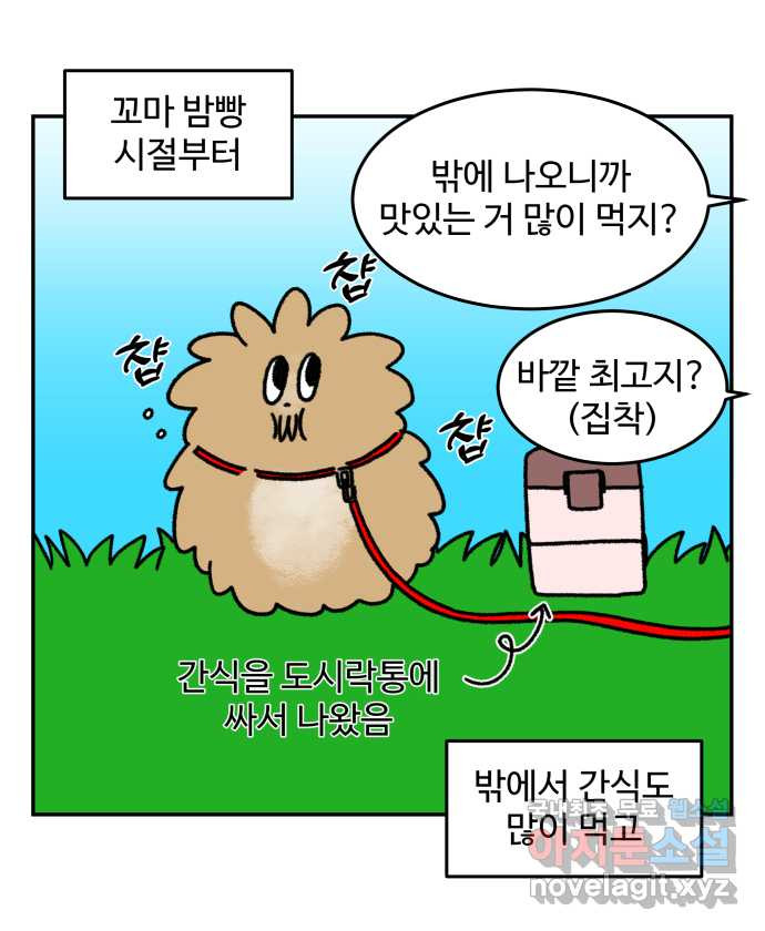 강아지는 멍멍하고 짖지 않아! 17화 - 고양이 사천왕 - 웹툰 이미지 3