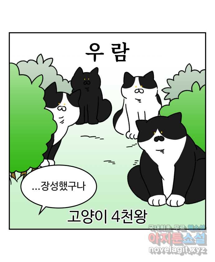 강아지는 멍멍하고 짖지 않아! 17화 - 고양이 사천왕 - 웹툰 이미지 14