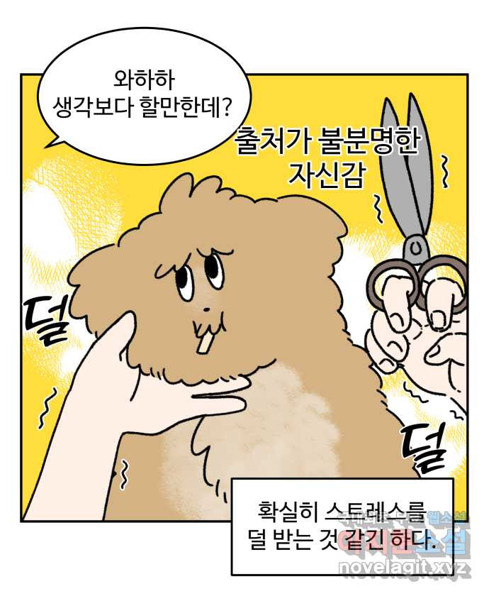 강아지는 멍멍하고 짖지 않아! 18화 - 셀프 미용 - 웹툰 이미지 16